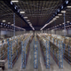 Takealot’s warehouse is in the festive spirit, starting with Black Friday.